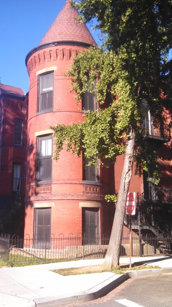 Sorry, no liquor license for you Saloon 45/Swann Dive